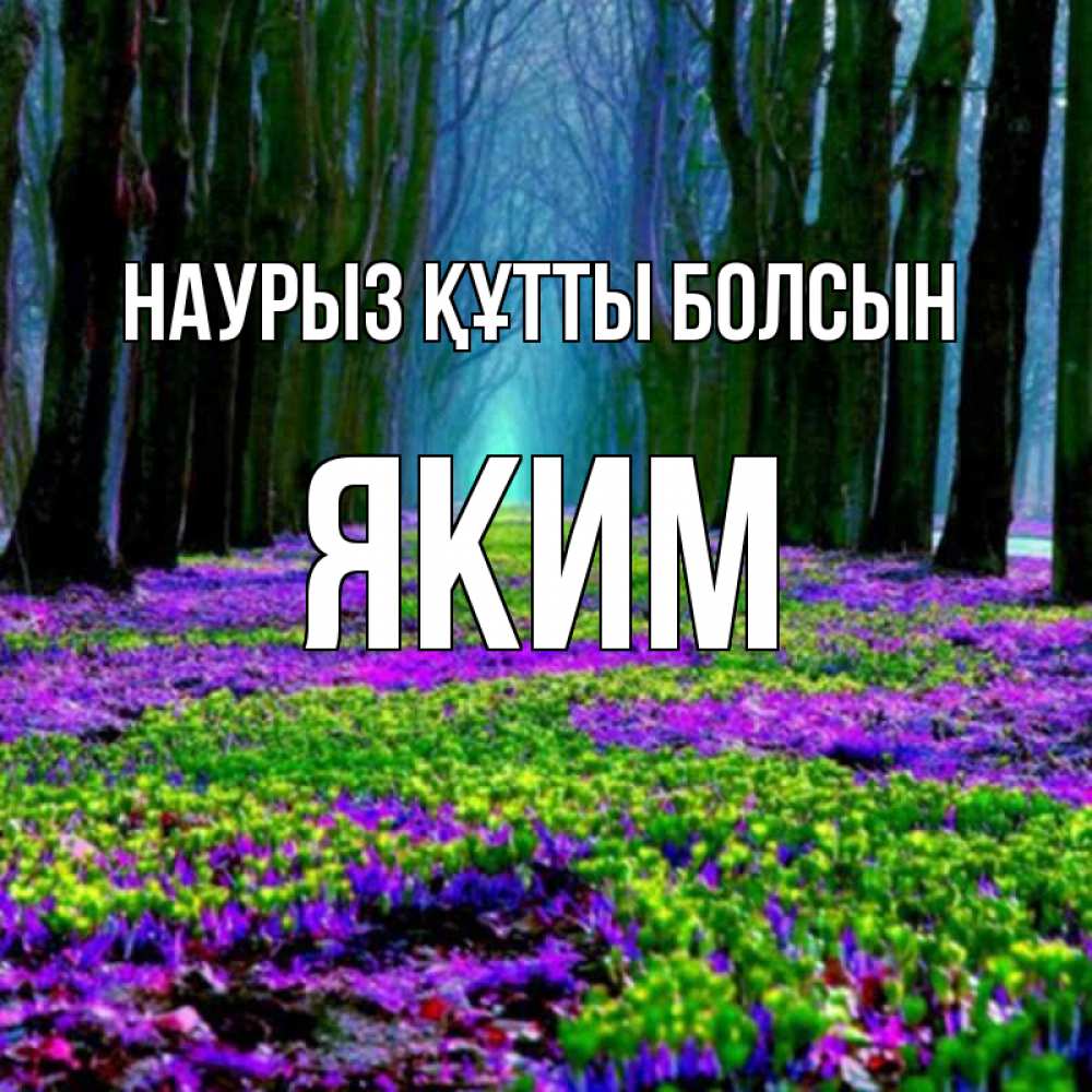 Күн сайын ашық хат с именем, Яким Наурыз құтты болсын фиолетовые цветы в лесу 1 Онлайн тегін жүктеп алу тілектері бар керемет карта 