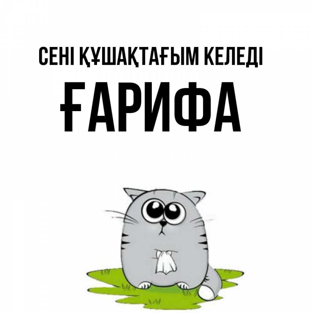 Күн сайын ашық хат с именем, ҒАРИФА сені құшақтағым келеді котик теребит платочек сидя на травке Онлайн тегін жүктеп алу тілектері бар керемет карта 