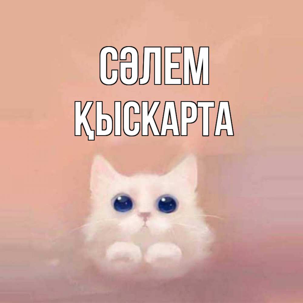 Күн сайын ашық хат с именем, Қыскарта Сәлем котик белый в полете Онлайн тегін жүктеп алу тілектері бар керемет карта 
