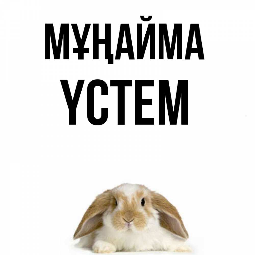 Күн сайын ашық хат с именем, ҮСТЕМ Мұңайма коричнево белый заяц с большими ушками Онлайн тегін жүктеп алу тілектері бар керемет карта 