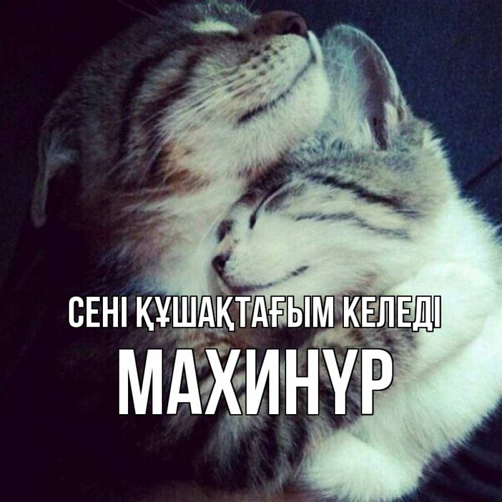 Күн сайын ашық хат с именем, МАХИНҮР сені құшақтағым келеді полосатики Онлайн тегін жүктеп алу тілектері бар керемет карта 