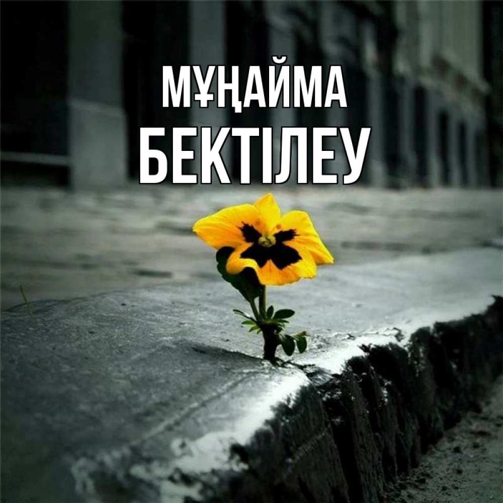 Күн сайын ашық хат с именем, Бектілеу Мұңайма не сдавайся Онлайн тегін жүктеп алу тілектері бар керемет карта 