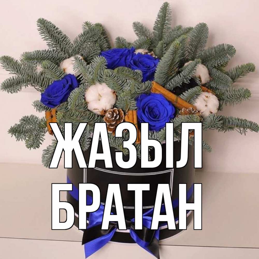 Күн сайын ашық хат с именем, Братан Жазыл короче кто то загрузил эти шишки Онлайн тегін жүктеп алу тілектері бар керемет карта 