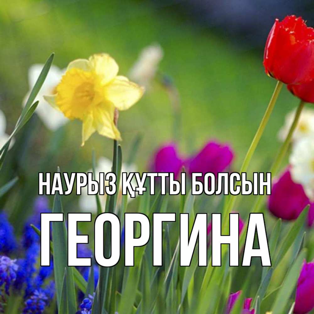 Күн сайын ашық хат с именем, Георгина Наурыз құтты болсын наурыз  3 открытки Онлайн тегін жүктеп алу тілектері бар керемет карта 