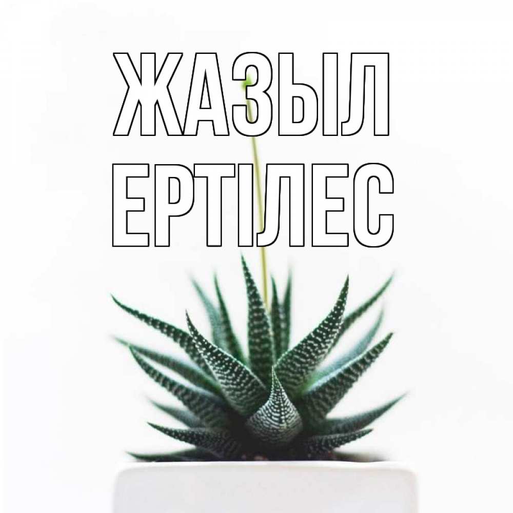 Күн сайын ашық хат с именем, Ертілес Жазыл короче это непонятная колючка Онлайн тегін жүктеп алу тілектері бар керемет карта 