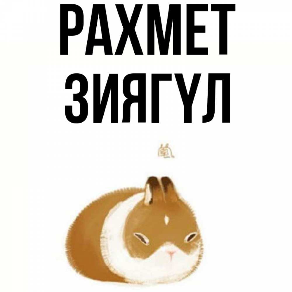 Күн сайын ашық хат с именем, ЗИЯГҮЛ рахмет коричнево белый домашний питомец Онлайн тегін жүктеп алу тілектері бар керемет карта 