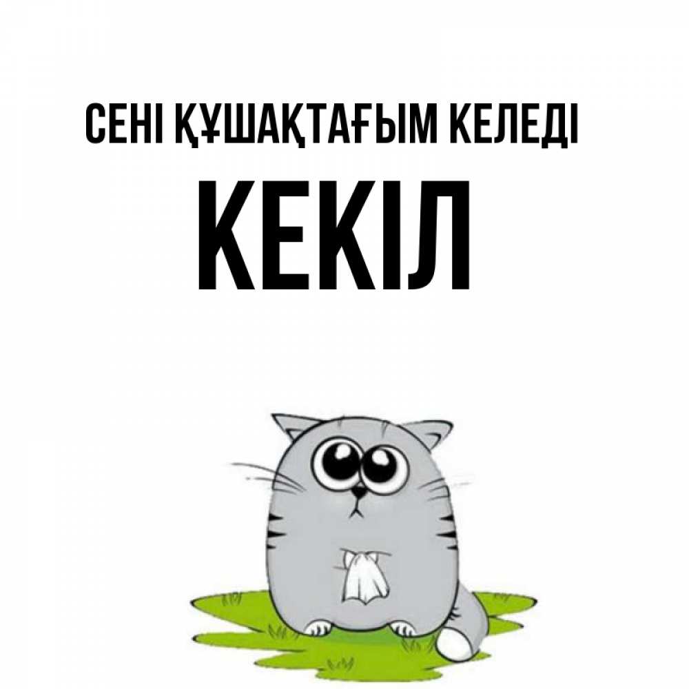 Күн сайын ашық хат с именем, Кекіл сені құшақтағым келеді котик теребит платочек сидя на травке Онлайн тегін жүктеп алу тілектері бар керемет карта 