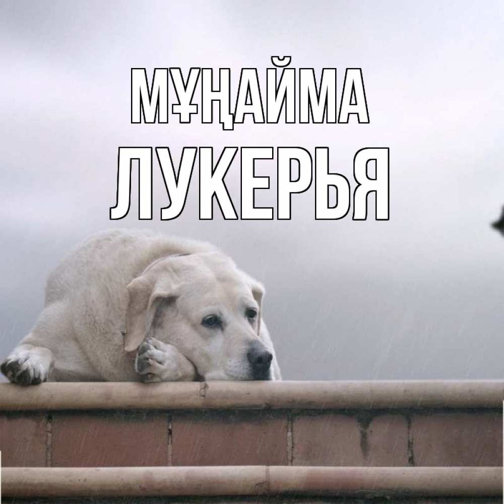 Күн сайын ашық хат с именем, Лукерья Мұңайма белый пес 1 Онлайн тегін жүктеп алу тілектері бар керемет карта 