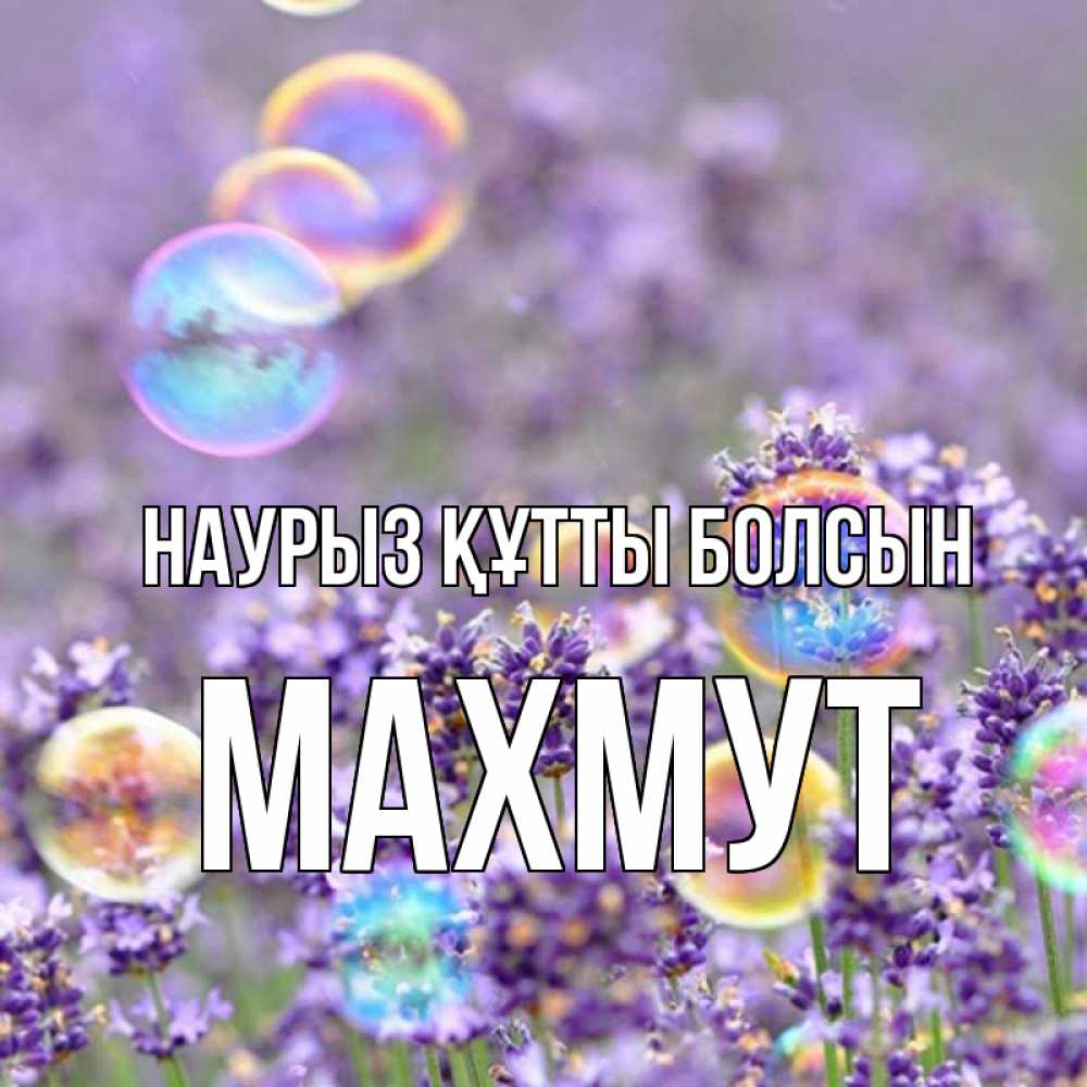 Күн сайын ашық хат с именем, МАХМУТ Наурыз құтты болсын цветы Онлайн тегін жүктеп алу тілектері бар керемет карта 