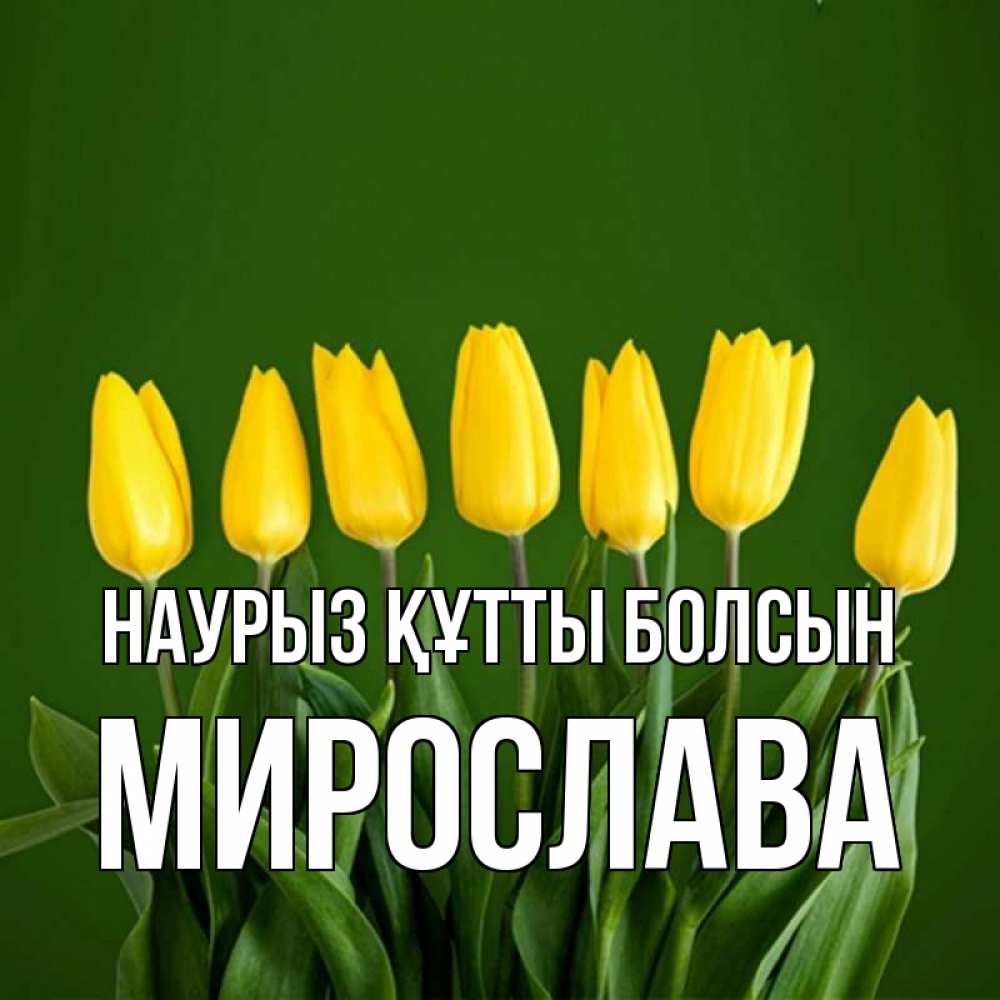 Күн сайын ашық хат с именем, Мирослава Наурыз құтты болсын желтого цвета 3 Онлайн тегін жүктеп алу тілектері бар керемет карта 