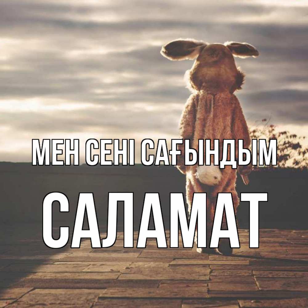 Күн сайын ашық хат с именем, САЛАМАТ Мен сені сағындым даже в костюме зайца Онлайн тегін жүктеп алу тілектері бар керемет карта 