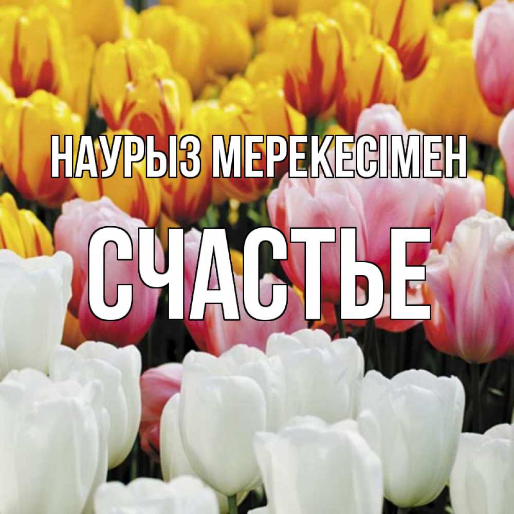 Күн сайын ашық хат с именем, Счастье Наурыз мерекесімен разноцветные цветы Онлайн тегін жүктеп алу тілектері бар керемет карта 
