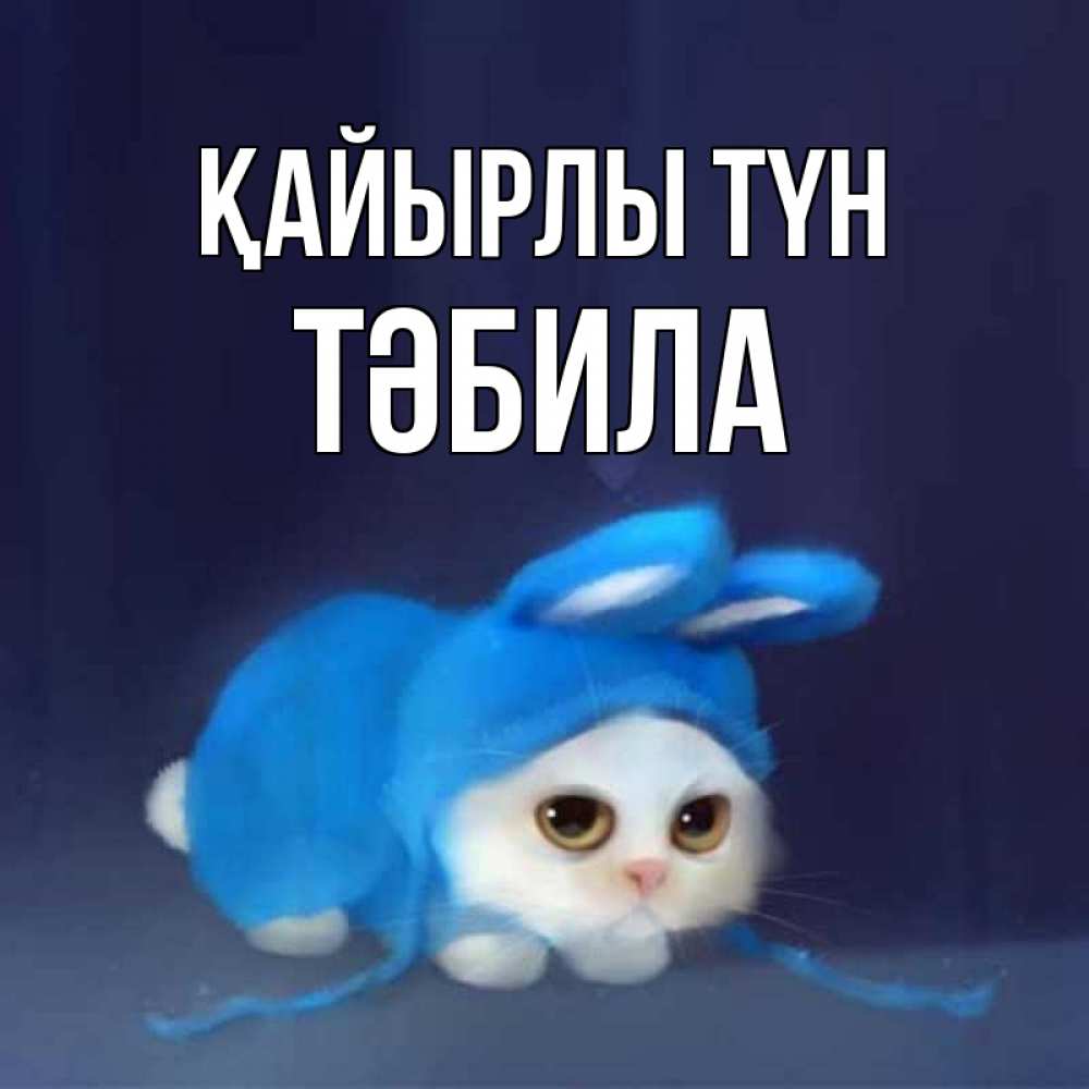 Күн сайын ашық хат с именем, ТӘБИЛА Қайырлы түн кот в голубом костюме кролика с ушками Онлайн тегін жүктеп алу тілектері бар керемет карта 