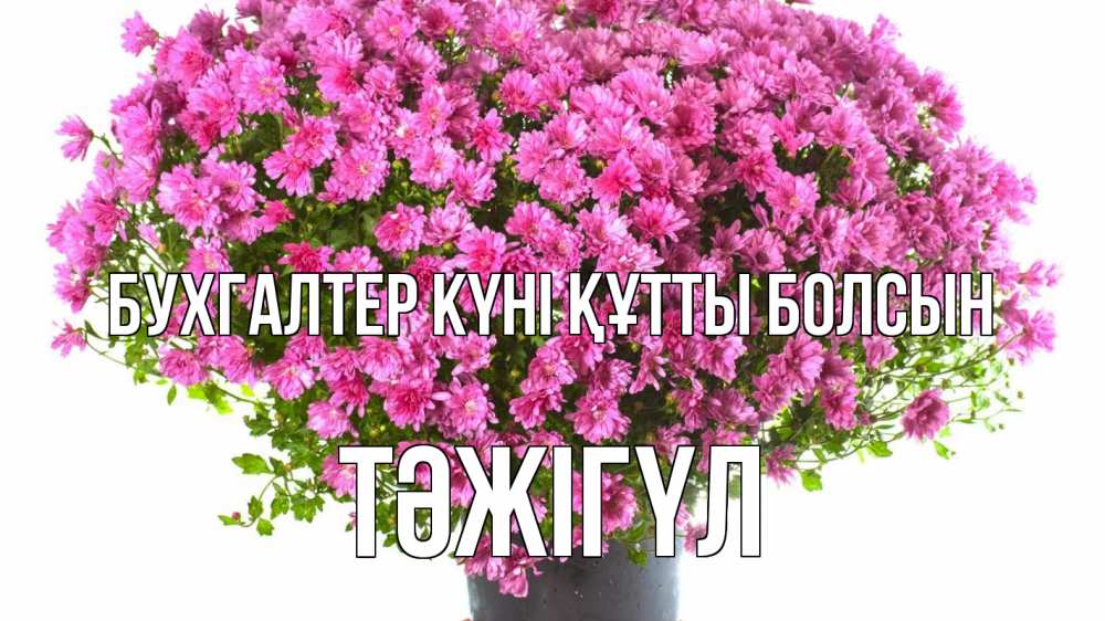 Күн сайын ашық хат с именем, ТӘЖІГҮЛ бухгалтер күні құтты болсын с днем бухгалтера Онлайн тегін жүктеп алу тілектері бар керемет карта 