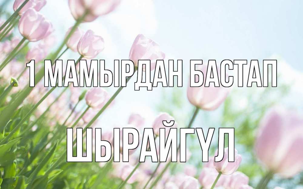 Күн сайын ашық хат с именем, ШЫРАЙГҮЛ 1 мамырдан бастап С 1 мая Онлайн тегін жүктеп алу тілектері бар керемет карта 
