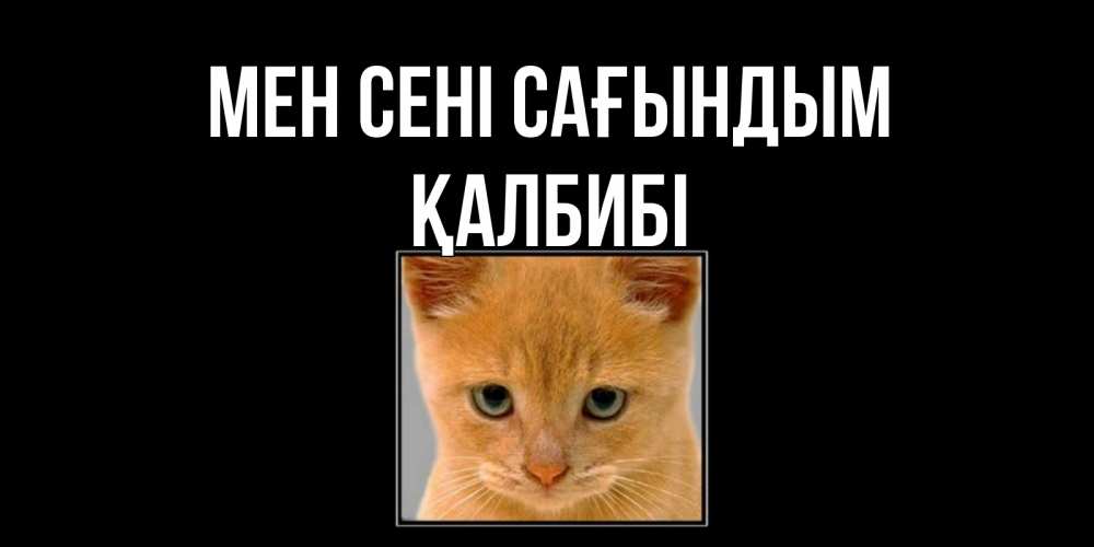 Күн сайын ашық хат с именем, ҚАЛБИБІ Мен сені сағындым открытки рыжий котенок скучает по тебе Онлайн тегін жүктеп алу тілектері бар керемет карта 