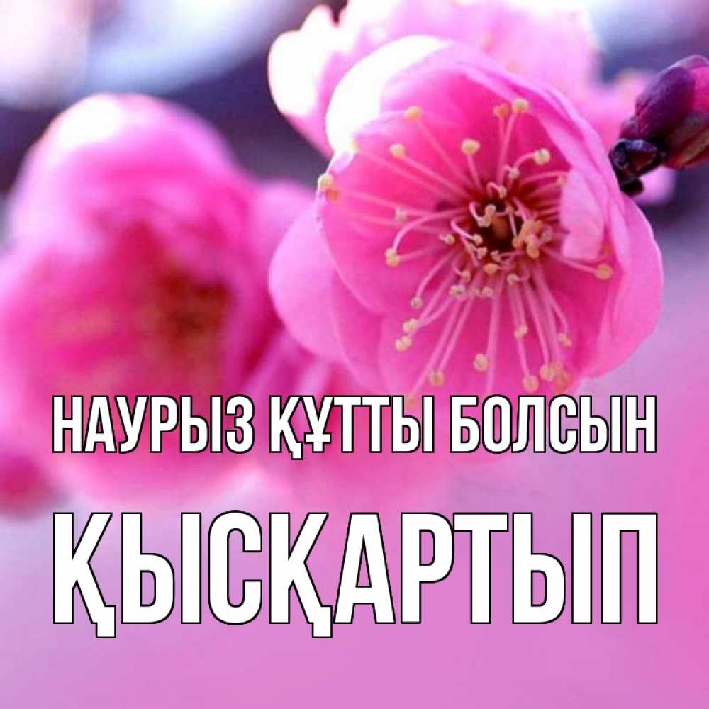 Күн сайын ашық хат с именем, Қысқартып Наурыз құтты болсын наурыз мейрам Онлайн тегін жүктеп алу тілектері бар керемет карта 