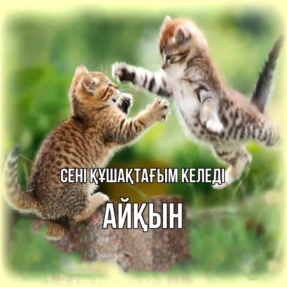 Күн сайын ашық хат с именем, Айқын сені құшақтағым келеді игры котят Онлайн тегін жүктеп алу тілектері бар керемет карта 