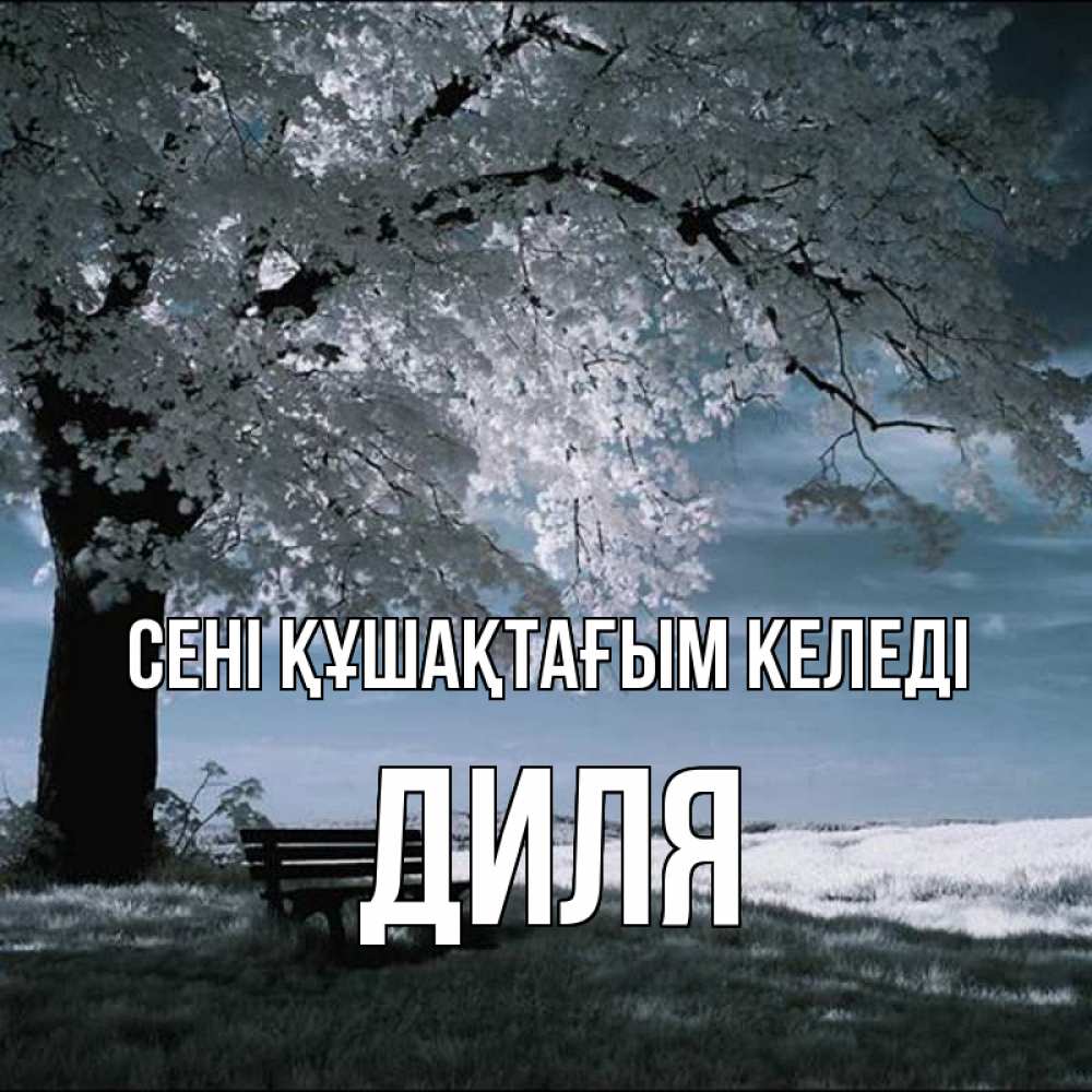 Күн сайын ашық хат с именем, Диля сені құшақтағым келеді дерево Онлайн тегін жүктеп алу тілектері бар керемет карта 