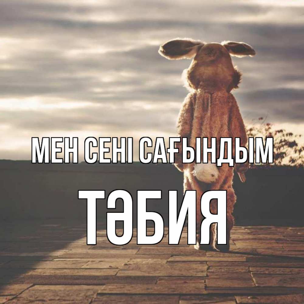 Күн сайын ашық хат с именем, ТӘБИЯ Мен сені сағындым даже в костюме зайца Онлайн тегін жүктеп алу тілектері бар керемет карта 