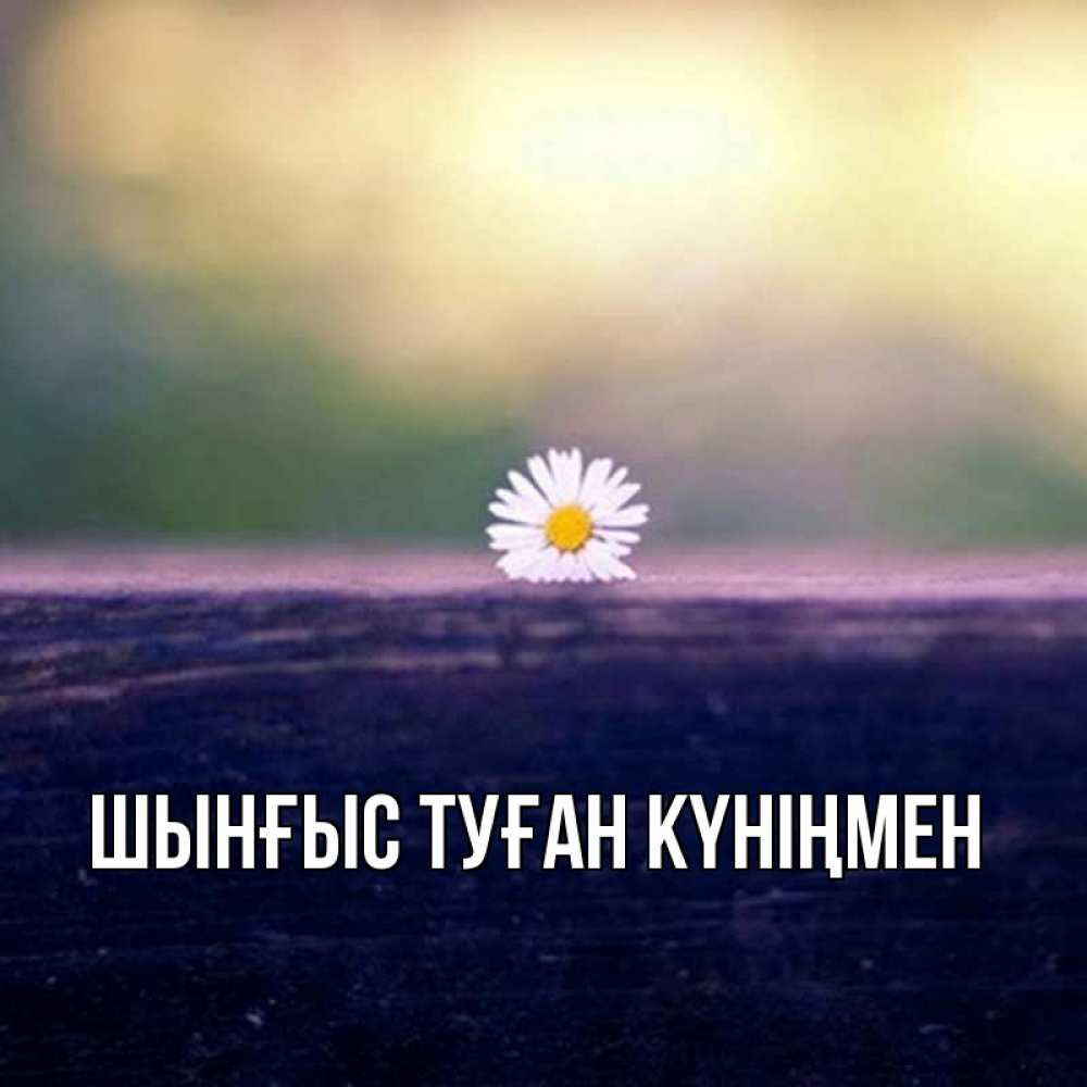 Картинка  с именем , ШЫНҒЫС! ТУҒАН КҮНІҢМЕН!