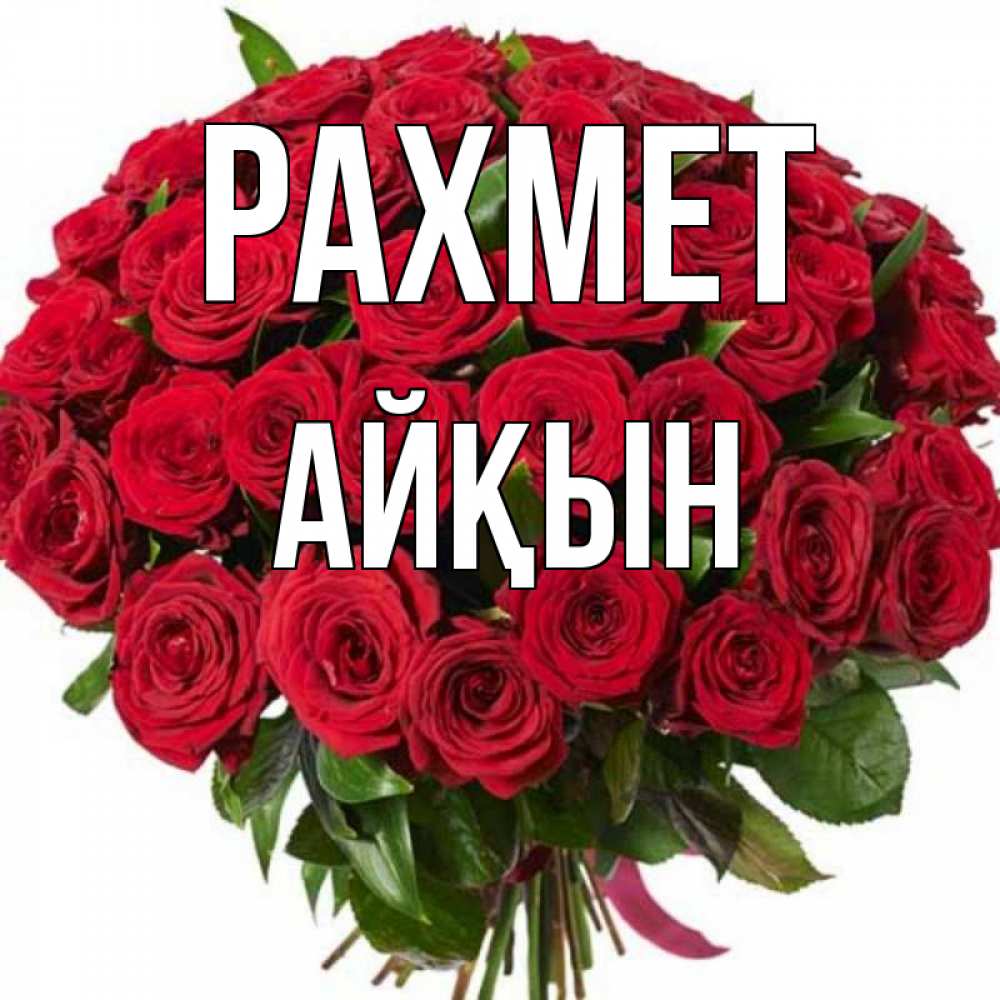 Күн сайын ашық хат с именем, Айқын рахмет букет красных роз Онлайн тегін жүктеп алу тілектері бар керемет карта 