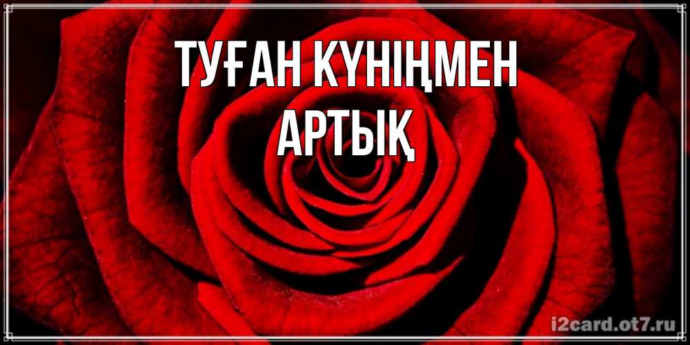 Күн сайын ашық хат с именем, Артық Туған күніңмен алая роза Онлайн тегін жүктеп алу тілектері бар керемет карта 
