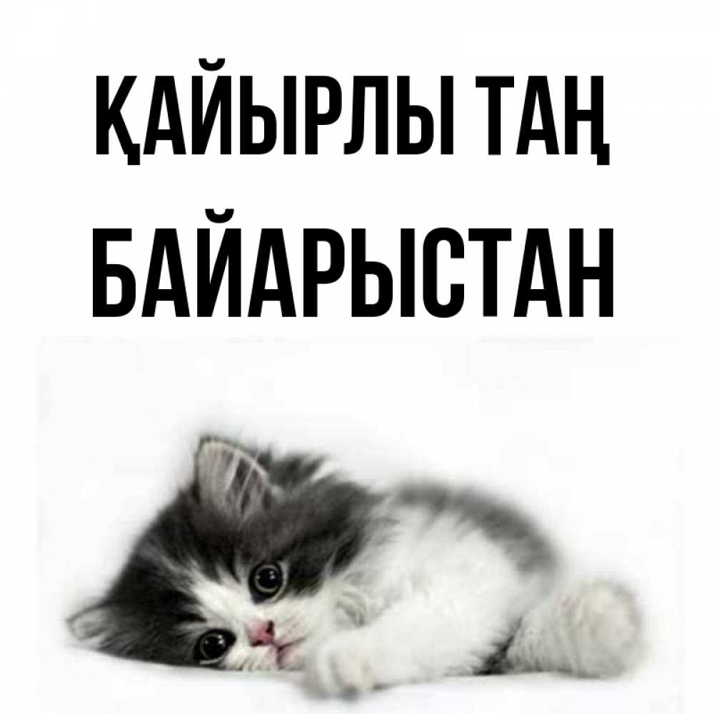 Күн сайын ашық хат с именем, Байарыстан Қайырлы таң кот лапки Онлайн тегін жүктеп алу тілектері бар керемет карта 