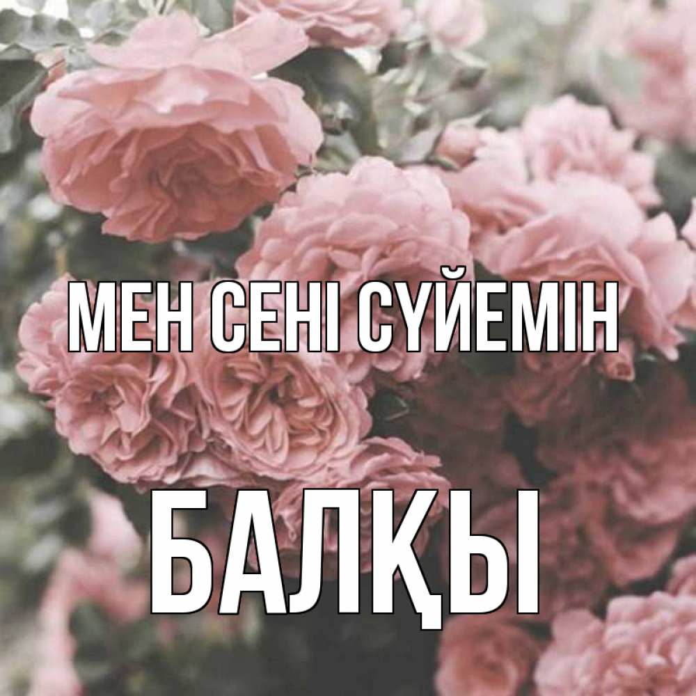 Күн сайын ашық хат с именем, Балқы Мен сені сүйемін розы 3 Онлайн тегін жүктеп алу тілектері бар керемет карта 