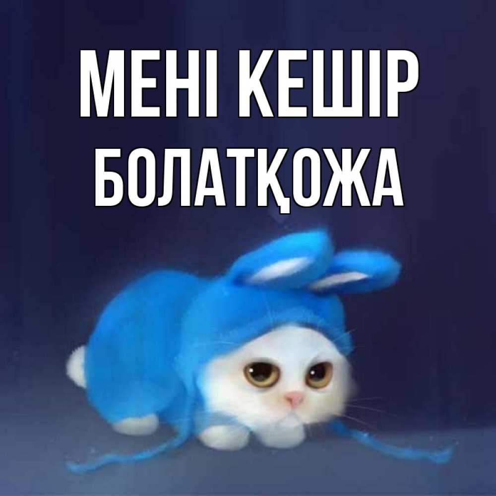 Күн сайын ашық хат с именем, Болатқожа Мені кешір невинный котозай просит прощения Онлайн тегін жүктеп алу тілектері бар керемет карта 
