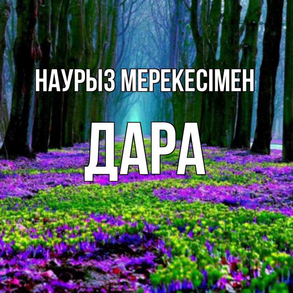 Күн сайын ашық хат с именем, Дара Наурыз мерекесімен фиолетовые цветы в лесу 1 Онлайн тегін жүктеп алу тілектері бар керемет карта 