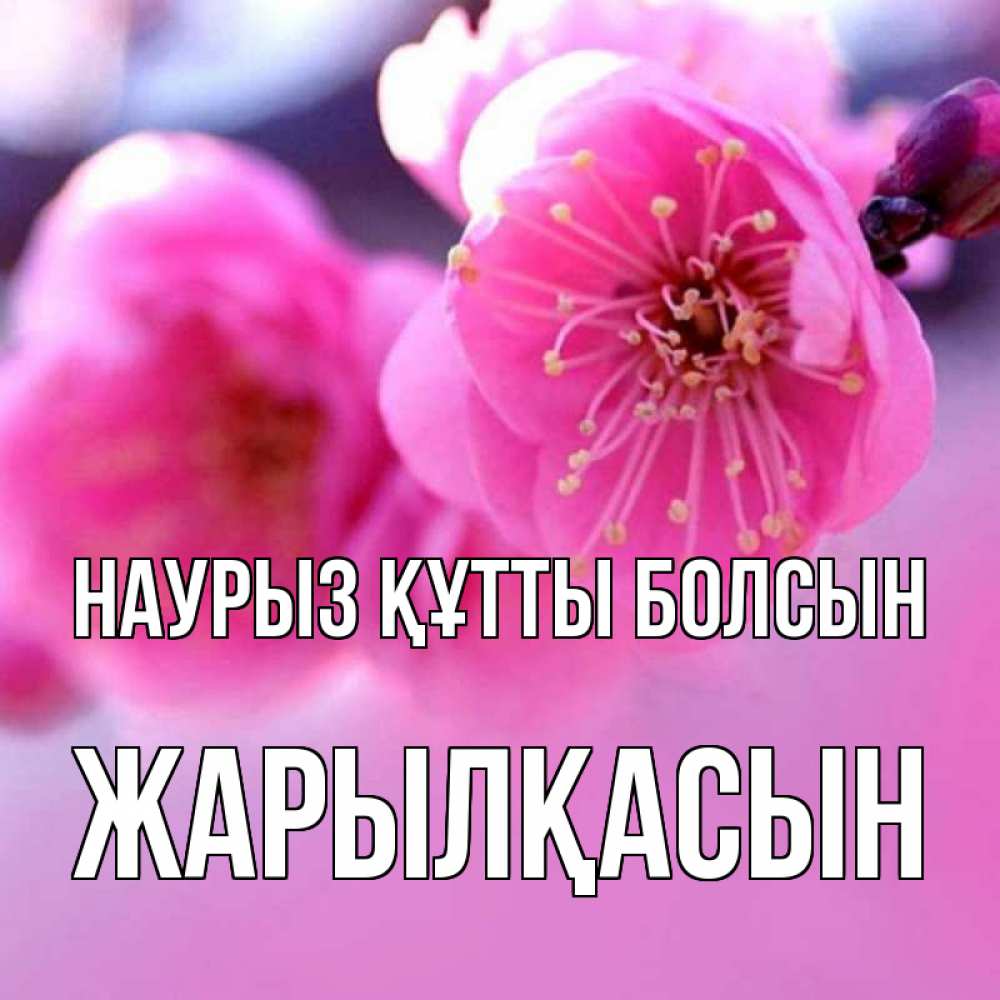 Күн сайын ашық хат с именем, Жарылқасын Наурыз құтты болсын наурыз мейрам Онлайн тегін жүктеп алу тілектері бар керемет карта 