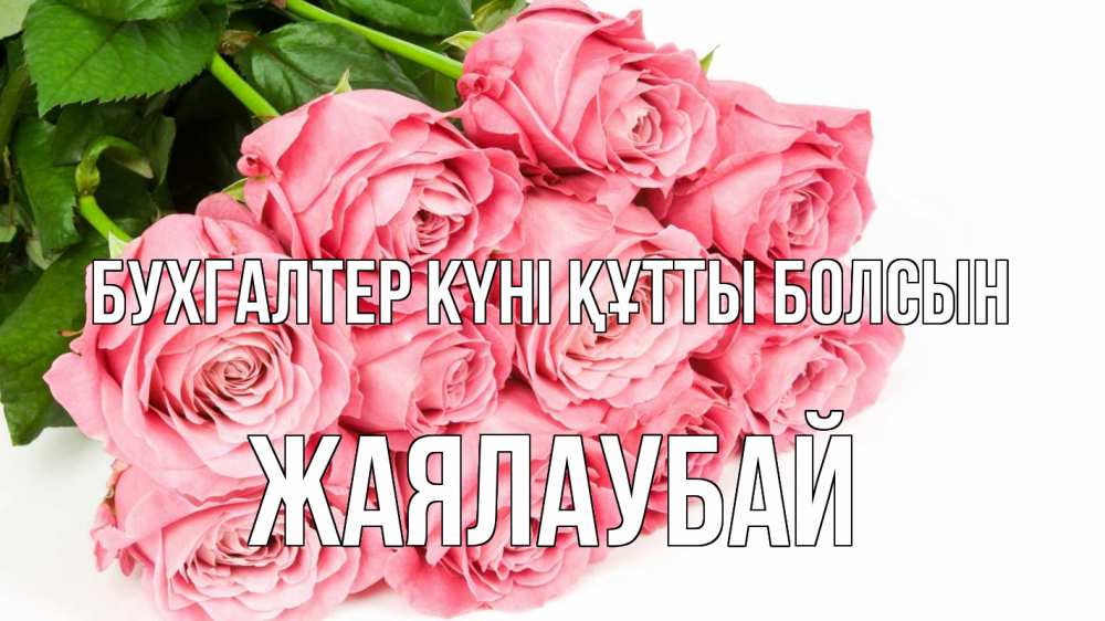 Күн сайын ашық хат с именем, Жаялаубай бухгалтер күні құтты болсын с днем бухгалтера 2 Онлайн тегін жүктеп алу тілектері бар керемет карта 