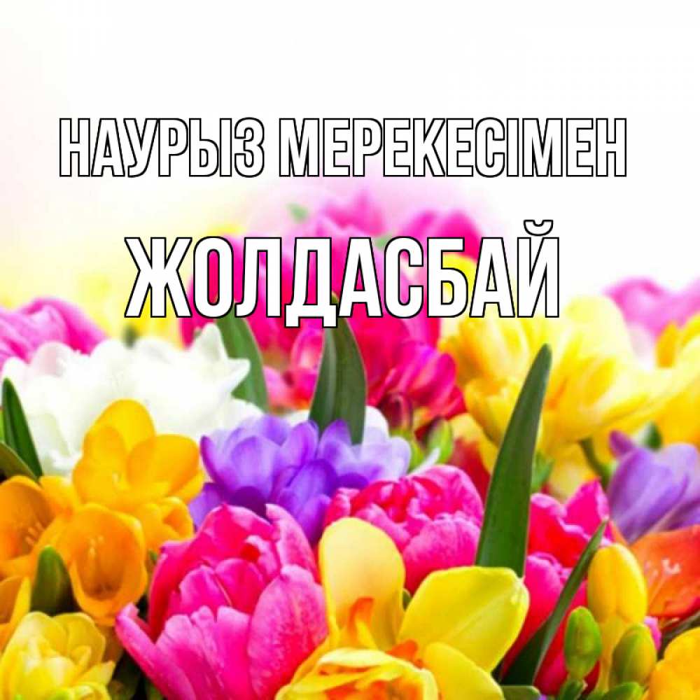 Күн сайын ашық хат с именем, Жолдасбай Наурыз мерекесімен тюльпаны Онлайн тегін жүктеп алу тілектері бар керемет карта 