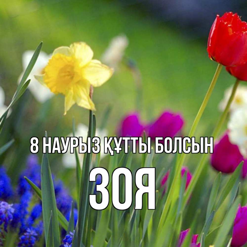 Күн сайын ашық хат с именем, Зоя 8 наурыз құтты болсын международный женский день 3 Онлайн тегін жүктеп алу тілектері бар керемет карта 