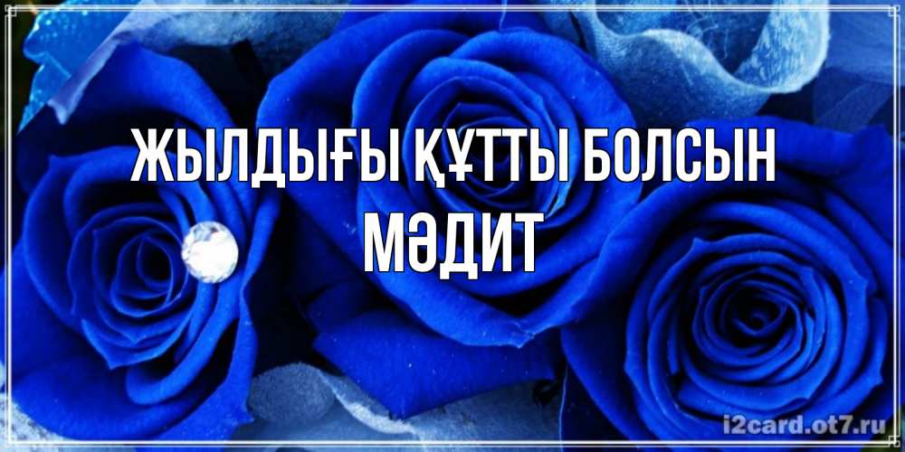 Күн сайын ашық хат с именем, МӘДИТ Жылдығы құтты болсын синие розы в росе Онлайн тегін жүктеп алу тілектері бар керемет карта 