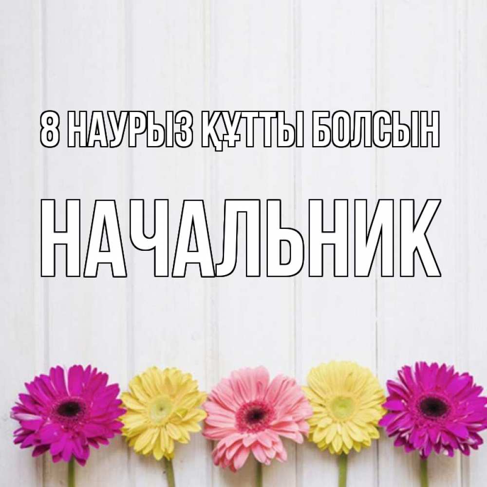 Күн сайын ашық хат с именем, Начальник 8 наурыз құтты болсын женщинам 1 Онлайн тегін жүктеп алу тілектері бар керемет карта 