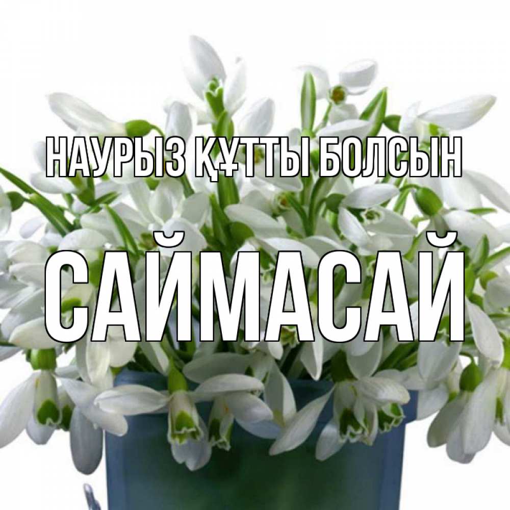Күн сайын ашық хат с именем, САЙМАСАЙ Наурыз құтты болсын цветы к наурызу Онлайн тегін жүктеп алу тілектері бар керемет карта 