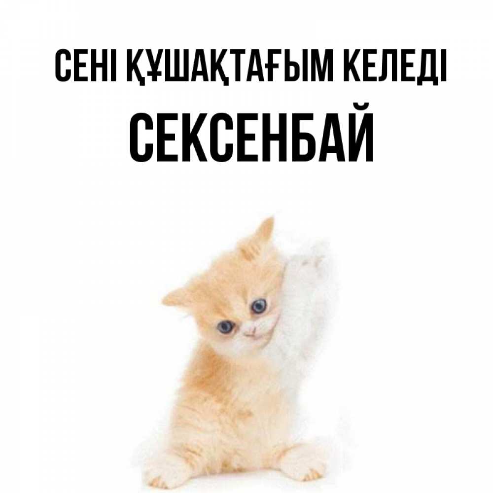 Күн сайын ашық хат с именем, СЕКСЕНБАЙ сені құшақтағым келеді я хочу очень скорее обнимаешек Онлайн тегін жүктеп алу тілектері бар керемет карта 
