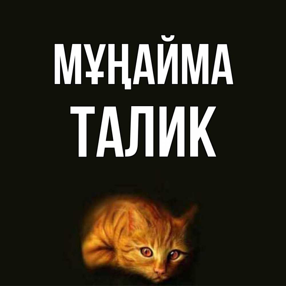 Күн сайын ашық хат с именем, Талик Мұңайма лежащий кот в темноте Онлайн тегін жүктеп алу тілектері бар керемет карта 