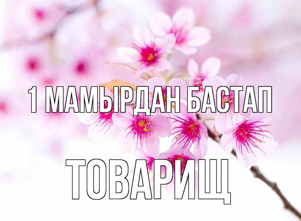 Күн сайын ашық хат с именем, Товарищ 1 мамырдан бастап С 1 мая 2 Онлайн тегін жүктеп алу тілектері бар керемет карта 
