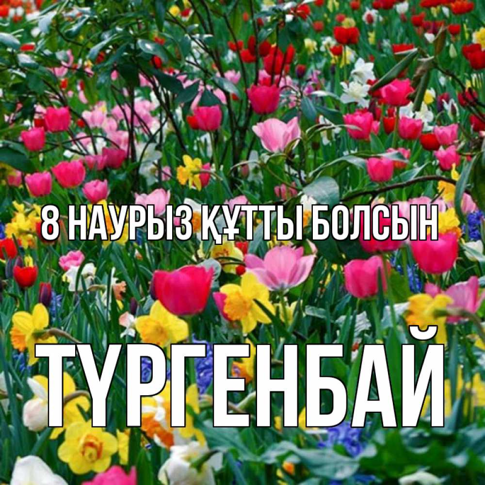 Күн сайын ашық хат с именем, ТҮРГЕНБАЙ 8 наурыз құтты болсын с международным женским днем поздравления для женщины Онлайн тегін жүктеп алу тілектері бар керемет карта 