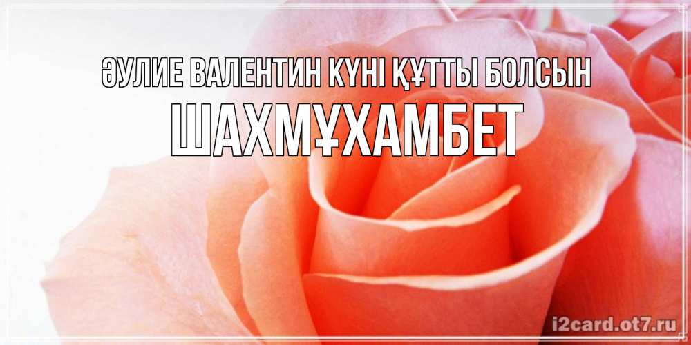 Күн сайын ашық хат с именем, ШАХМҰХАМБЕТ Әулие Валентин күні құтты болсын открытка на день Святого Валентина с розовой розой Онлайн тегін жүктеп алу тілектері бар керемет карта 