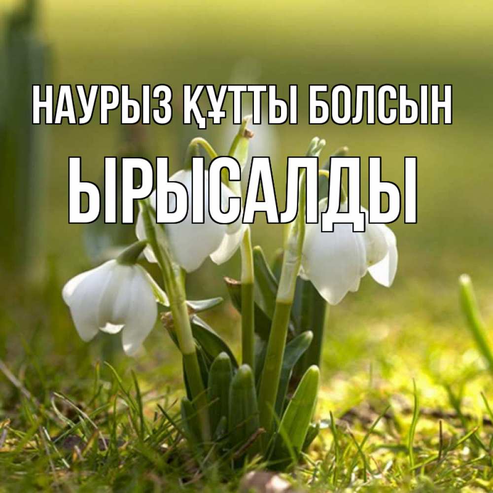 Күн сайын ашық хат с именем, ЫРЫСАЛДЫ Наурыз құтты болсын ранние цветы 2 Онлайн тегін жүктеп алу тілектері бар керемет карта 