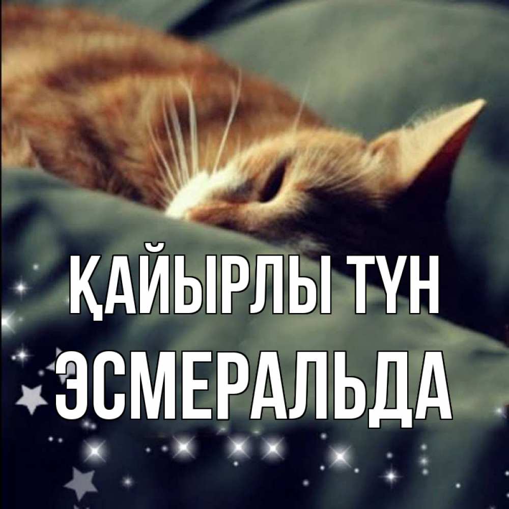 Күн сайын ашық хат с именем, Эсмеральда Қайырлы түн кроватка Онлайн тегін жүктеп алу тілектері бар керемет карта 