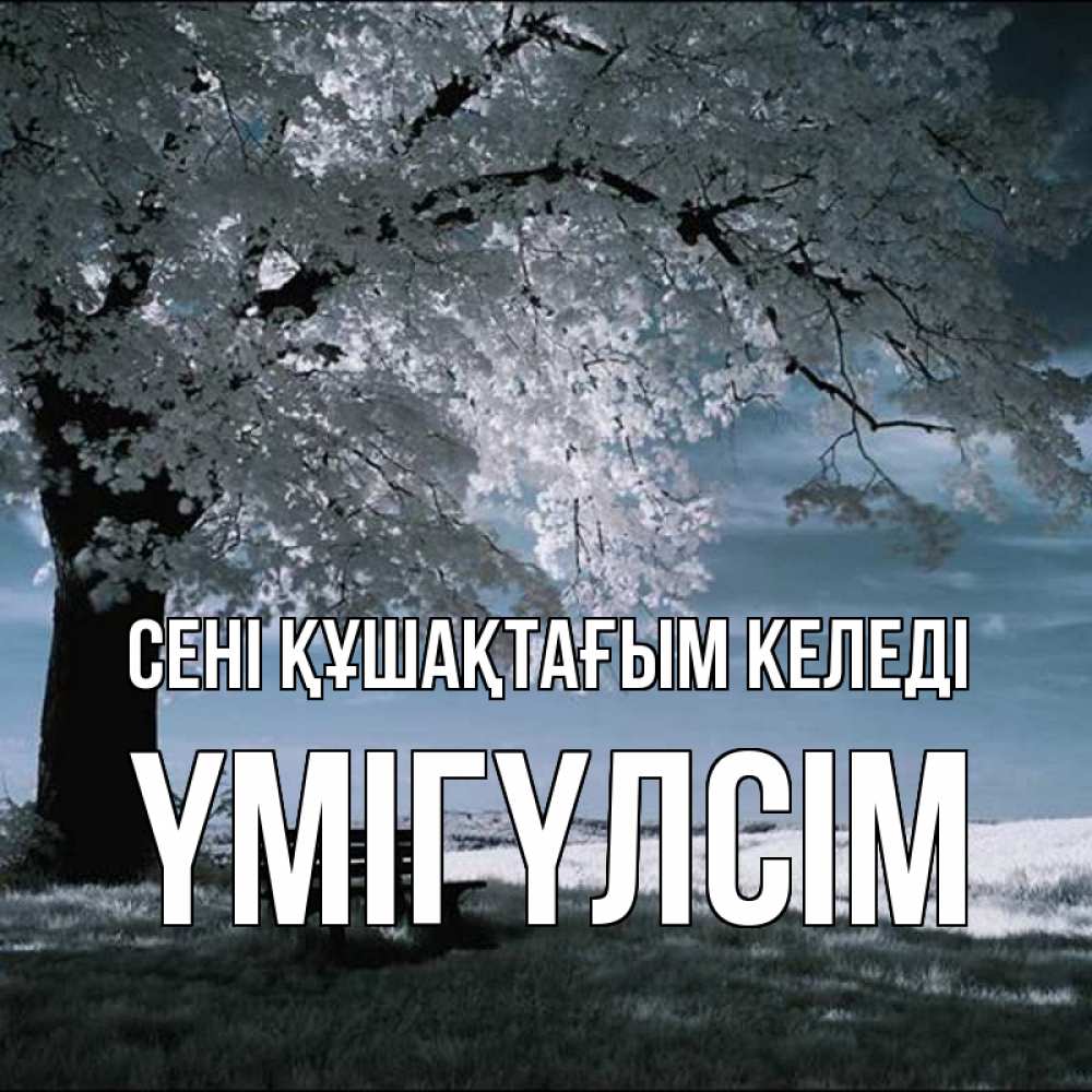Күн сайын ашық хат с именем, ҮМІГҮЛСІМ сені құшақтағым келеді дерево Онлайн тегін жүктеп алу тілектері бар керемет карта 