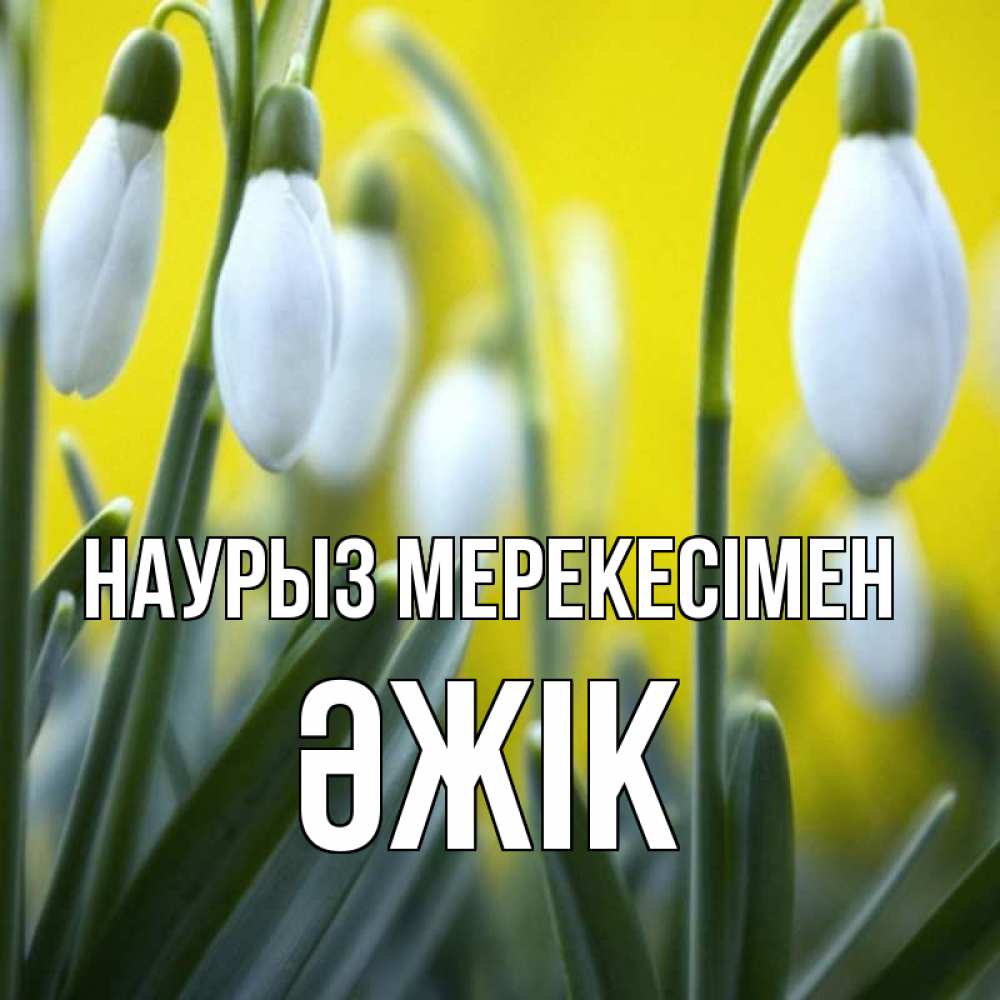 Күн сайын ашық хат с именем, Әжік Наурыз мерекесімен весенние цветы Онлайн тегін жүктеп алу тілектері бар керемет карта 