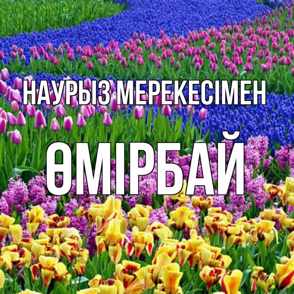 Күн сайын ашық хат с именем, ӨМІРБАЙ Наурыз мерекесімен цветы Онлайн тегін жүктеп алу тілектері бар керемет карта 