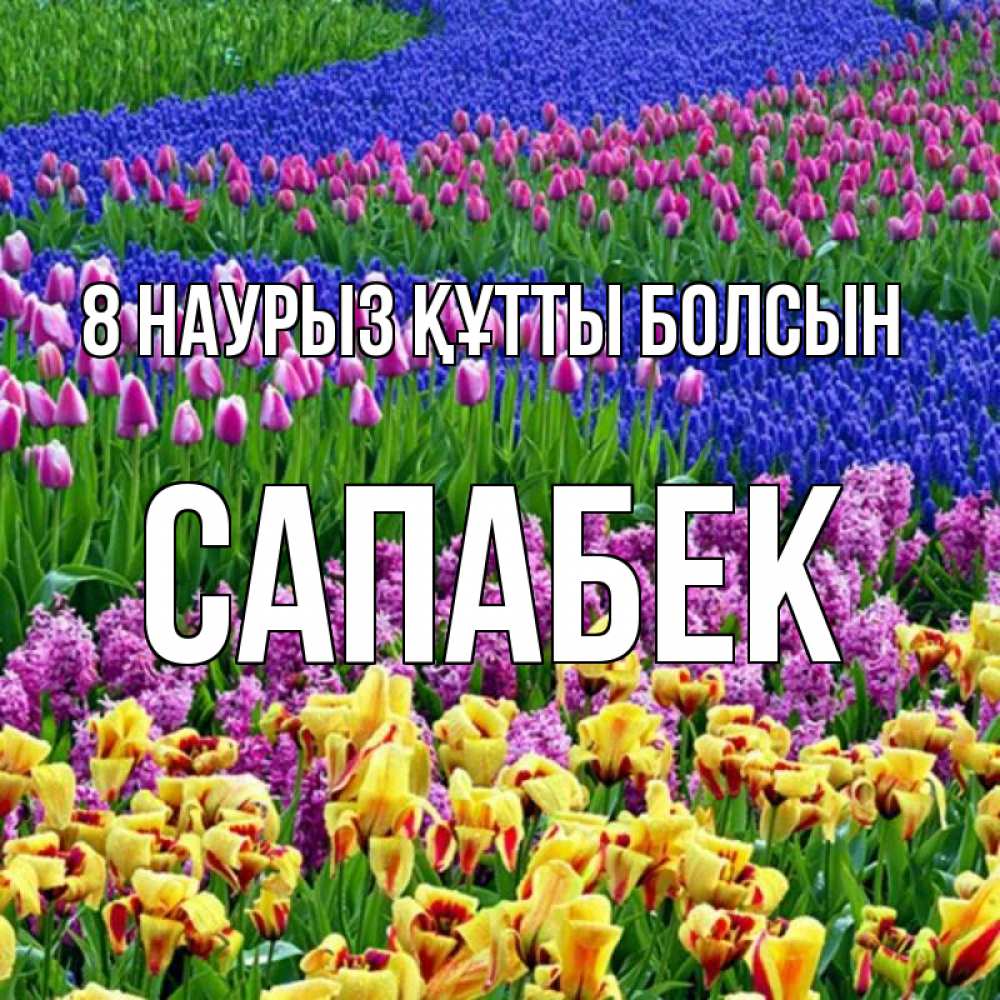 Күн сайын ашық хат с именем, САПАБЕК 8 наурыз құтты болсын цветы Онлайн тегін жүктеп алу тілектері бар керемет карта 