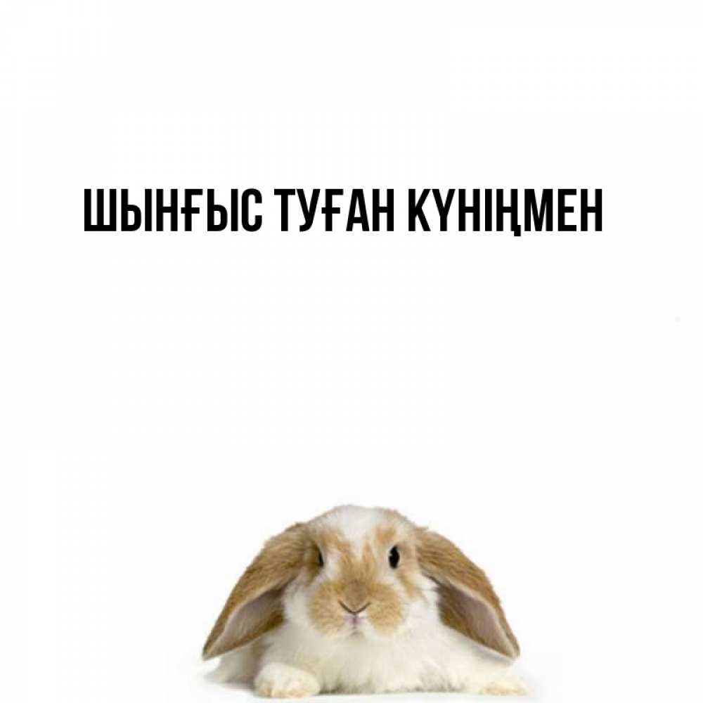 Картинка  с именем , ШЫНҒЫС! ТУҒАН КҮНІҢМЕН!